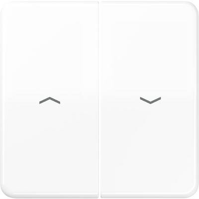 A white double switch with two buttons and small downward-facing symbols, likely for controlling blinds or shutters.