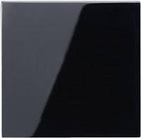 Image of Jung 1x Insert Switch Black A590SW 1 pc(s)