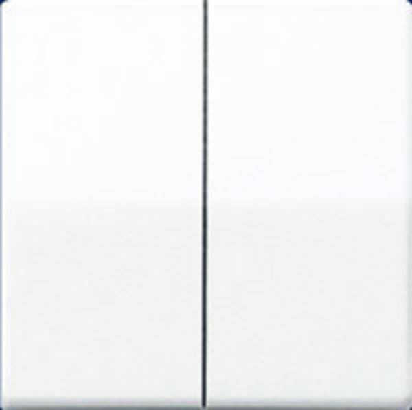Jung 1x Insert Switch Alpine white AS591-5WW 1 pc(s)