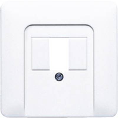 Image of Jung 1x Cover TAE socket Alpine white CD569TWW