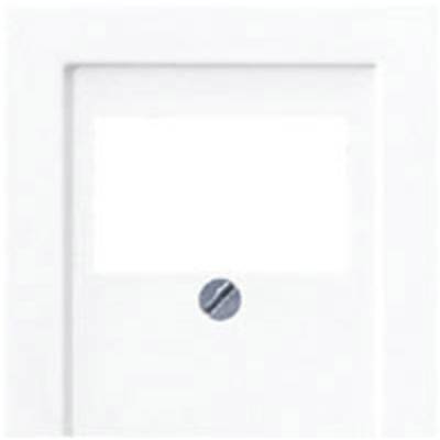 White cover with a central screw, suitable for electrical installations or switches.