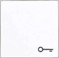A white light switch with a key symbol in the bottom right corner.