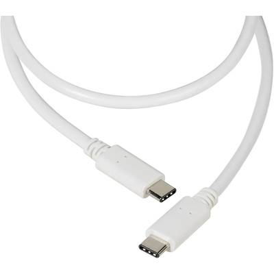 A white USB-C cable with two USB-C plugs.