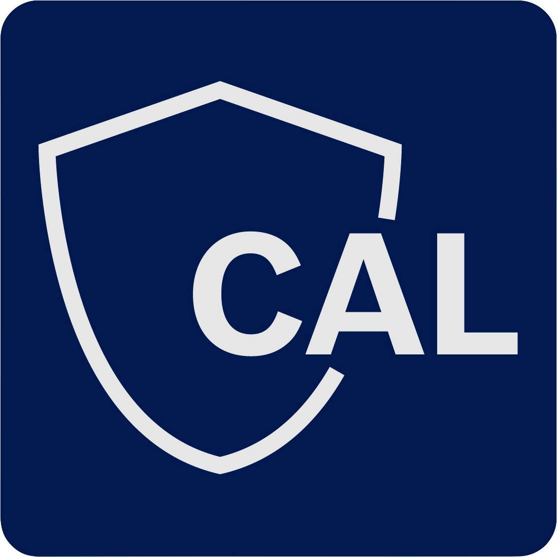 Bosch Professional GLL3-80C Multi-line laser Range (max.): 120 m-8