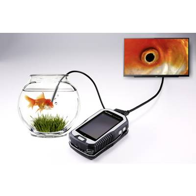 An aquarium with a goldfish is connected to a device that displays an enlarged image of the fish on a screen.
