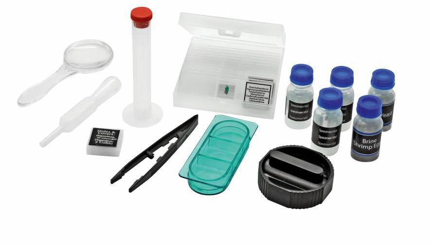 Laboratory equipment with a pipette, measuring cylinder, microscope slides, tweezers and various reagent bottles on a white background.