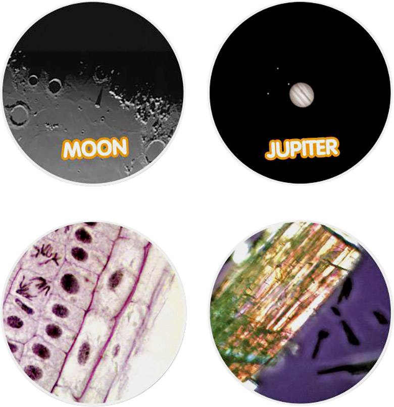Four round images: Top left, a lunar crater with the text 'MOON', top right, the planet Jupiter with the text 'JUPITER', bottom left, plant cells, bottom right, a mineral structure.