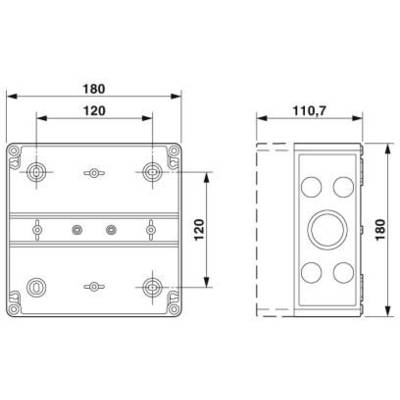 Technical drawing of a rectangular enclosure with dimensions: 180x120 mm, side view 110.7 mm. Shows drilling points and mounting locations.