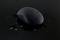 Black computer mouse with water droplets on a black background, possibly depicting a waterproof model.