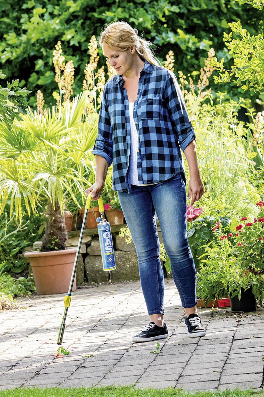A person in the garden is using a long tool to remove weeds from between paving stones. Plants are visible in the background.