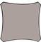 A grey, irregularly shaped area with black borders on a white background.
