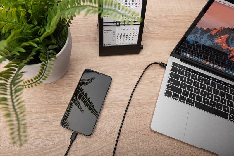 Digitus USB cable USB 2.0 USB-C® plug, USB-C® plug 1.00 m Black Shielded AK-880908-010-S-5