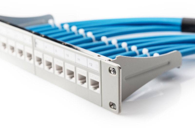 A patch panel with blue network cables is mounted in a rack. It displays the organised cable connections on the rear side.