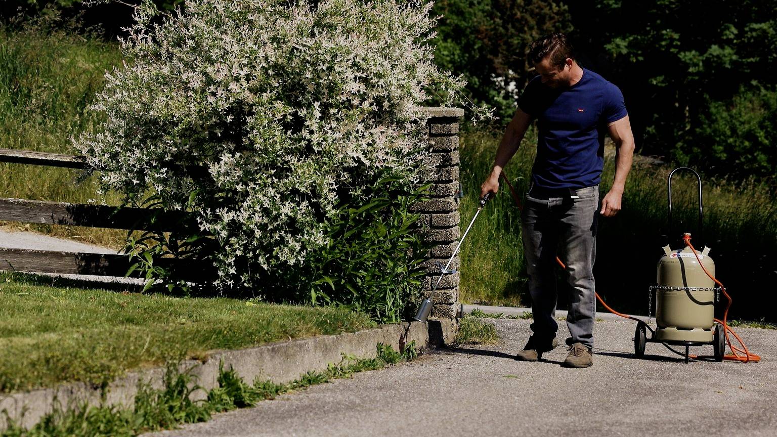 A man sprays weeds along the roadside using a wheeled spraying device. A hedge and a meadow are visible in the background.