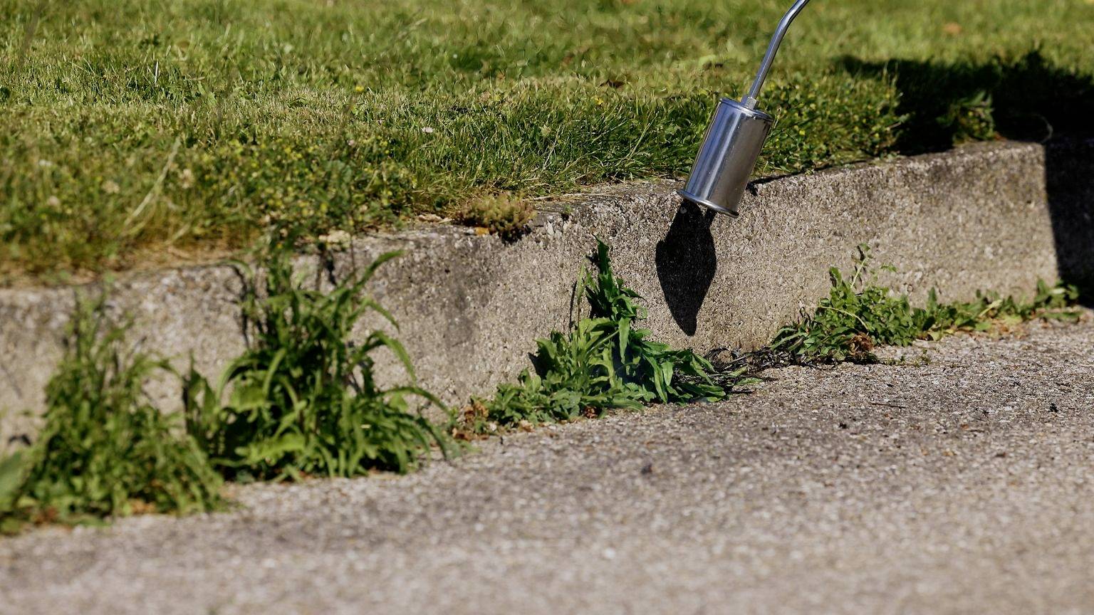 A weed burner is used to remove weeds at the edge of a pavement. Green plants are visible.