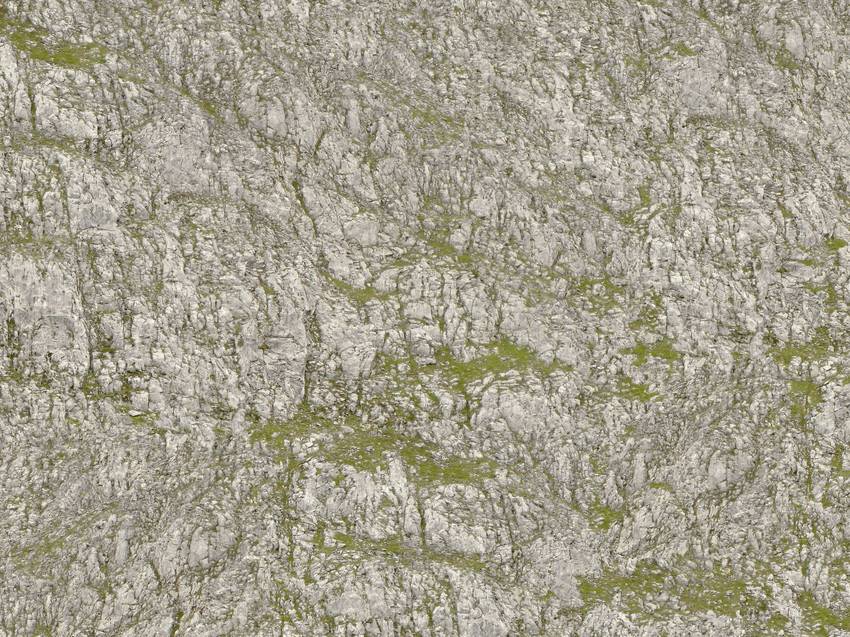 A rocky surface with irregular shapes and moss or grass distributed in patches.