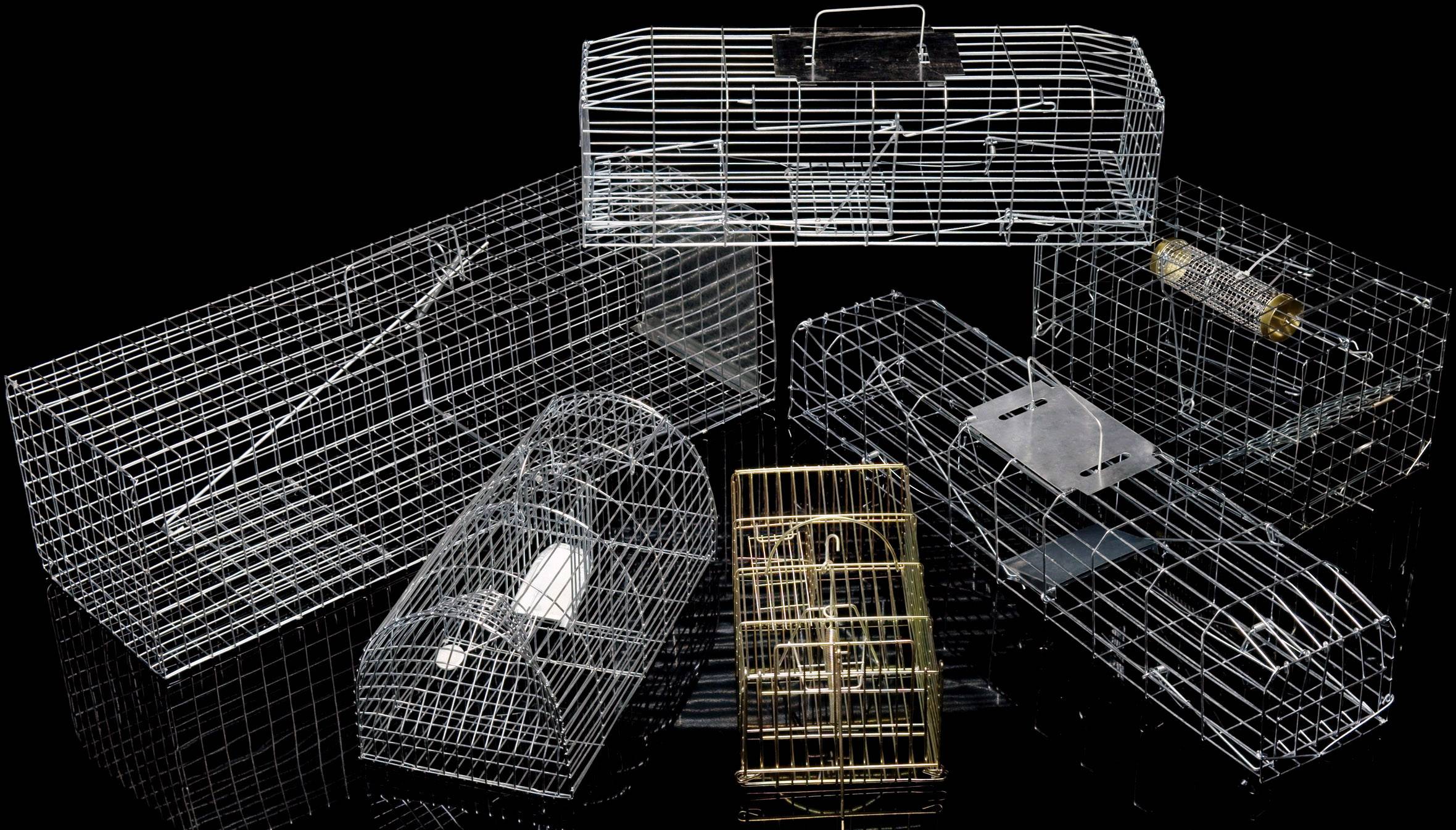 PEST STOP Multicatch Rat Cage Cage trap Working principle Pheromone