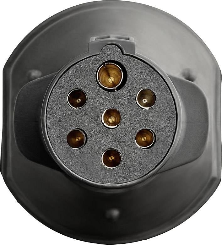 A black, round plug with seven golden contacts for charging electric vehicles.