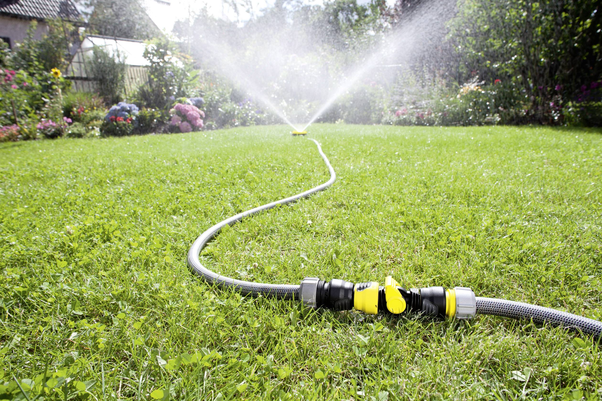 A garden hose is watering a green lawn, surrounded by flowering plants. Trees and a house are situated in the background.