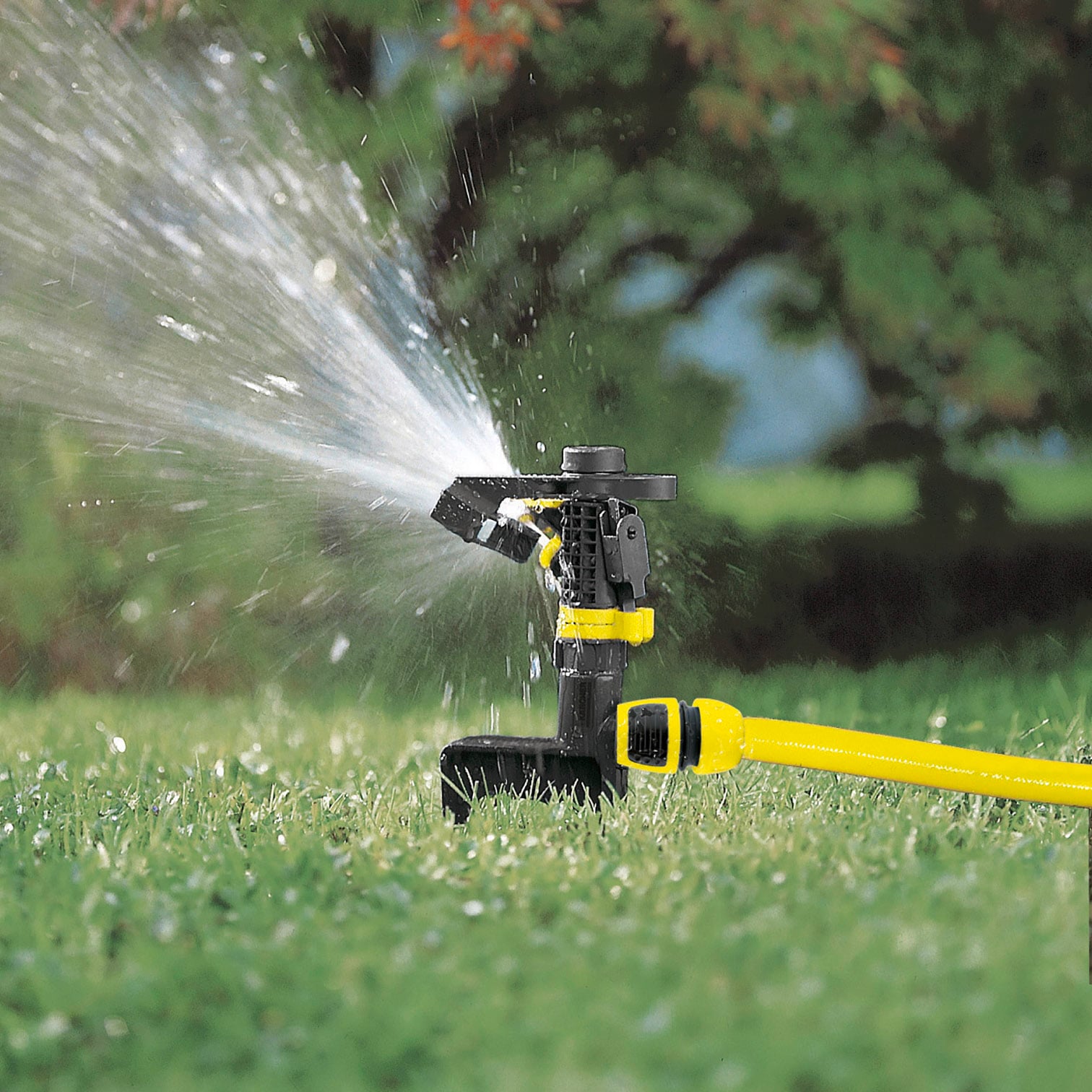 A lawn sprinkler is spraying water in an even arc onto green grass. The background shows blurred bushes.