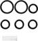 Six black O-rings in various sizes and a white plastic filter beneath them, on a white background.