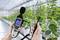 A person is measuring sound levels and air quality in a modern greenhouse. Plants are growing in rows, surrounded by glass structures.