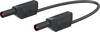 Stäubli SLK425-E Safety test lead 4 mm safety plug 4 mm safety plug 1.00 m Black 1 pc(s)