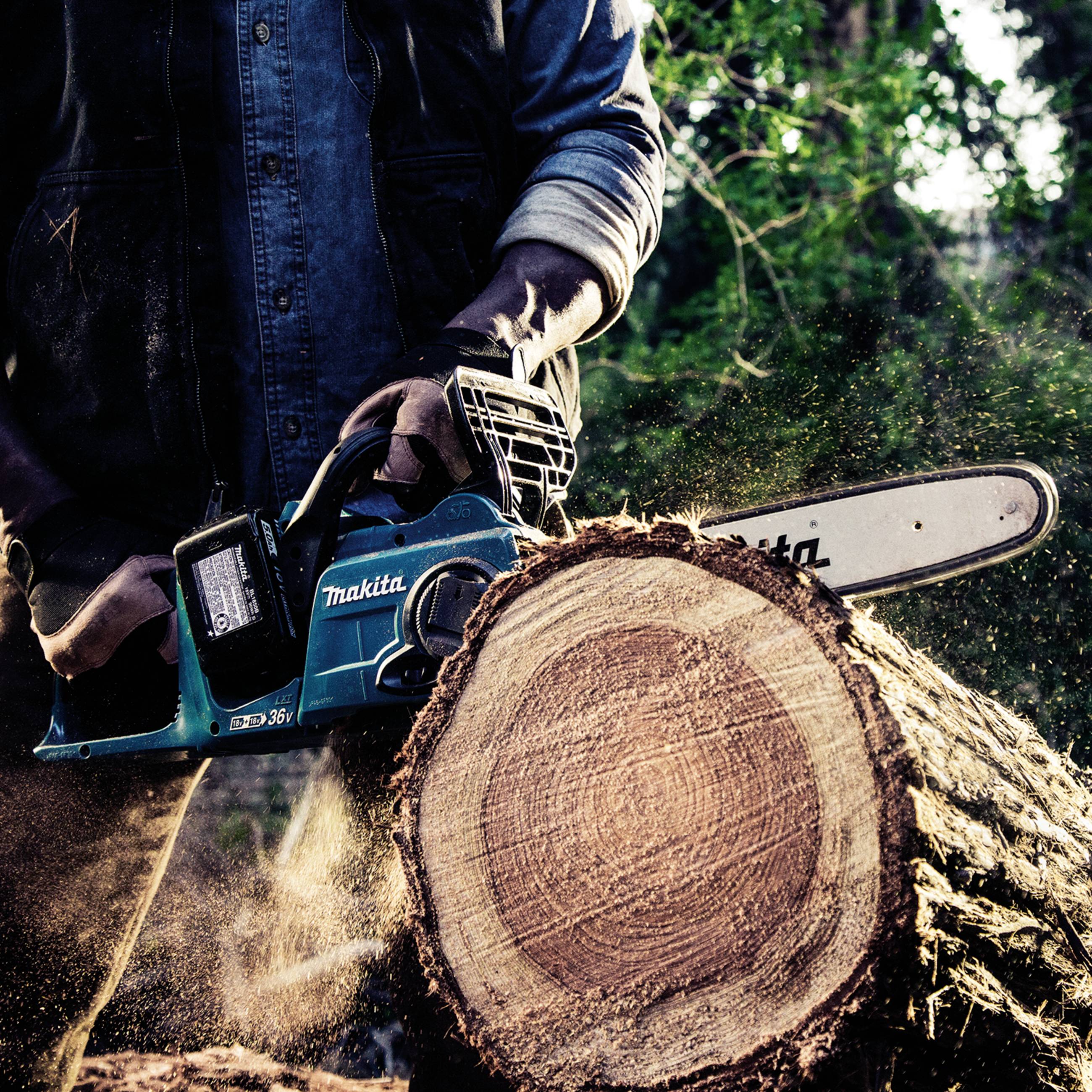 A person is sawing a tree trunk with a chainsaw. Wood chips are flying, and the ground is covered with sawdust. Dense woodland surrounds the scene.