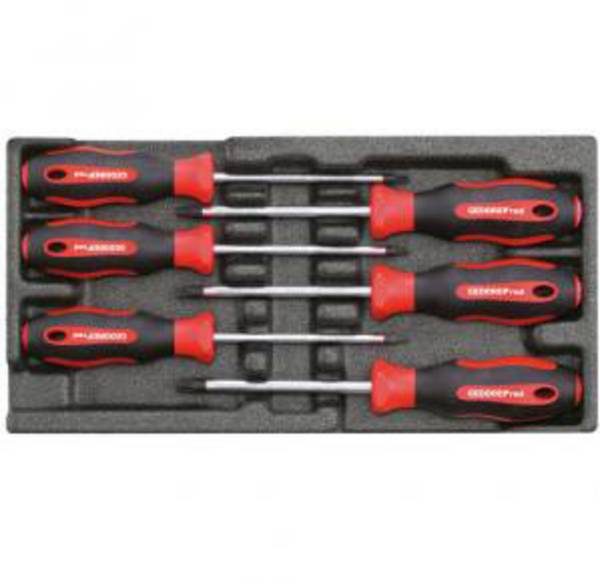 Gedore RED R22150015  Screwdriver set 6-piece TX