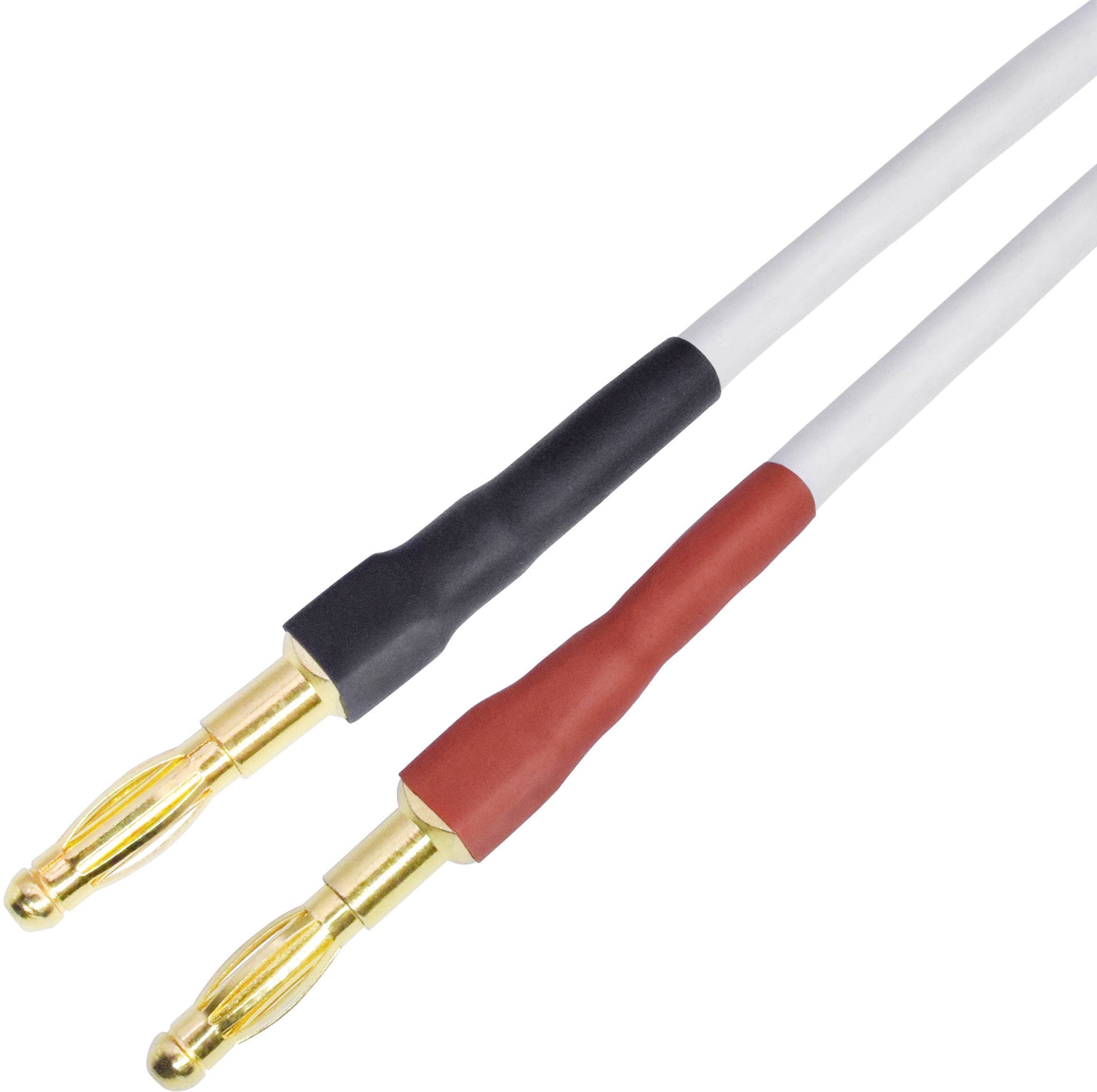 Two speaker cables with gold-plated banana plugs, one red, one black, for connecting audio devices.