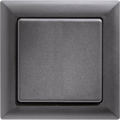 A black wall switch in close-up, presented in a square frame.