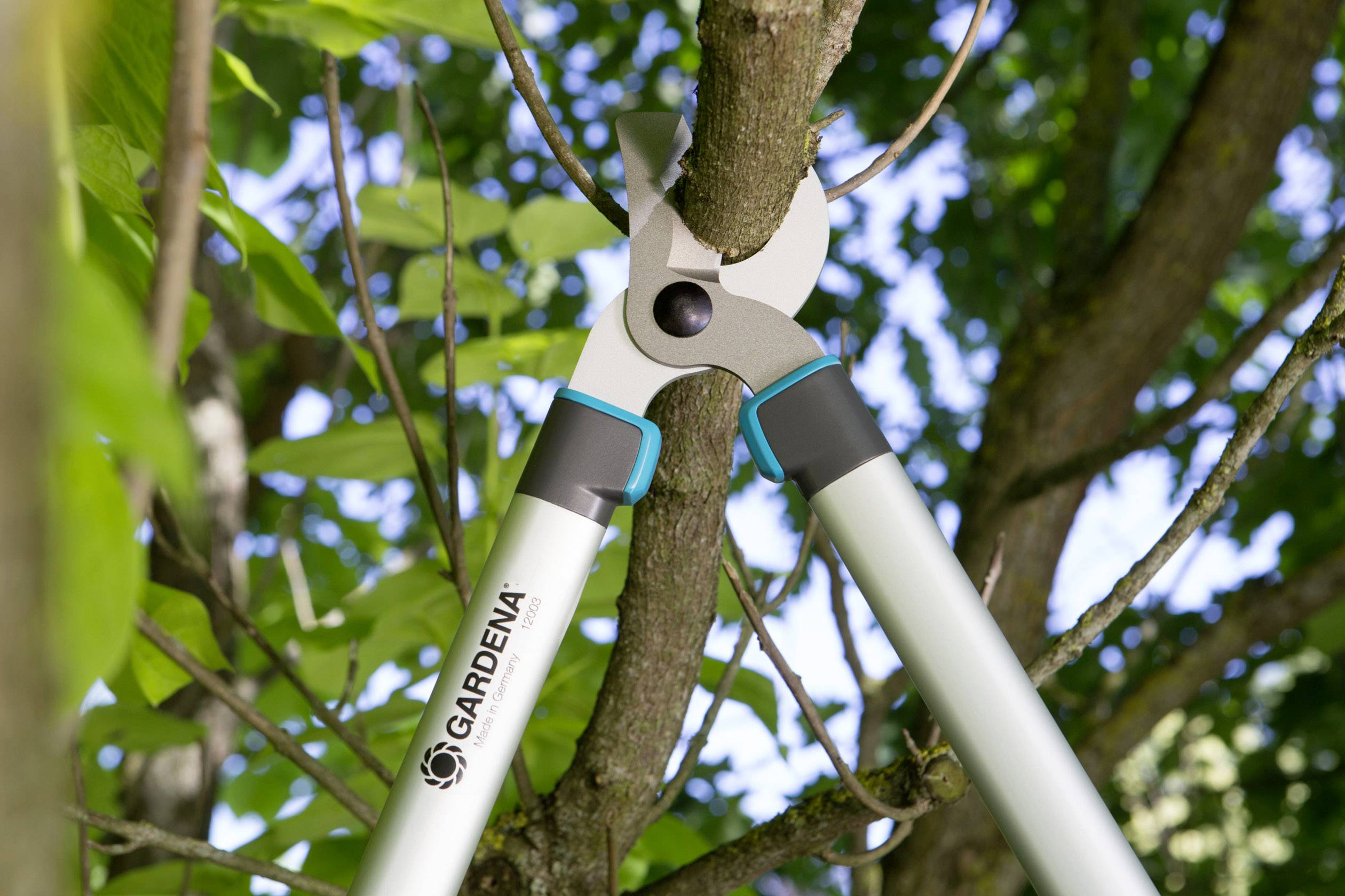 A branch is being cut with a Gardena pruning shears. The shears are silver with blue accents and are cutting a thick branch.