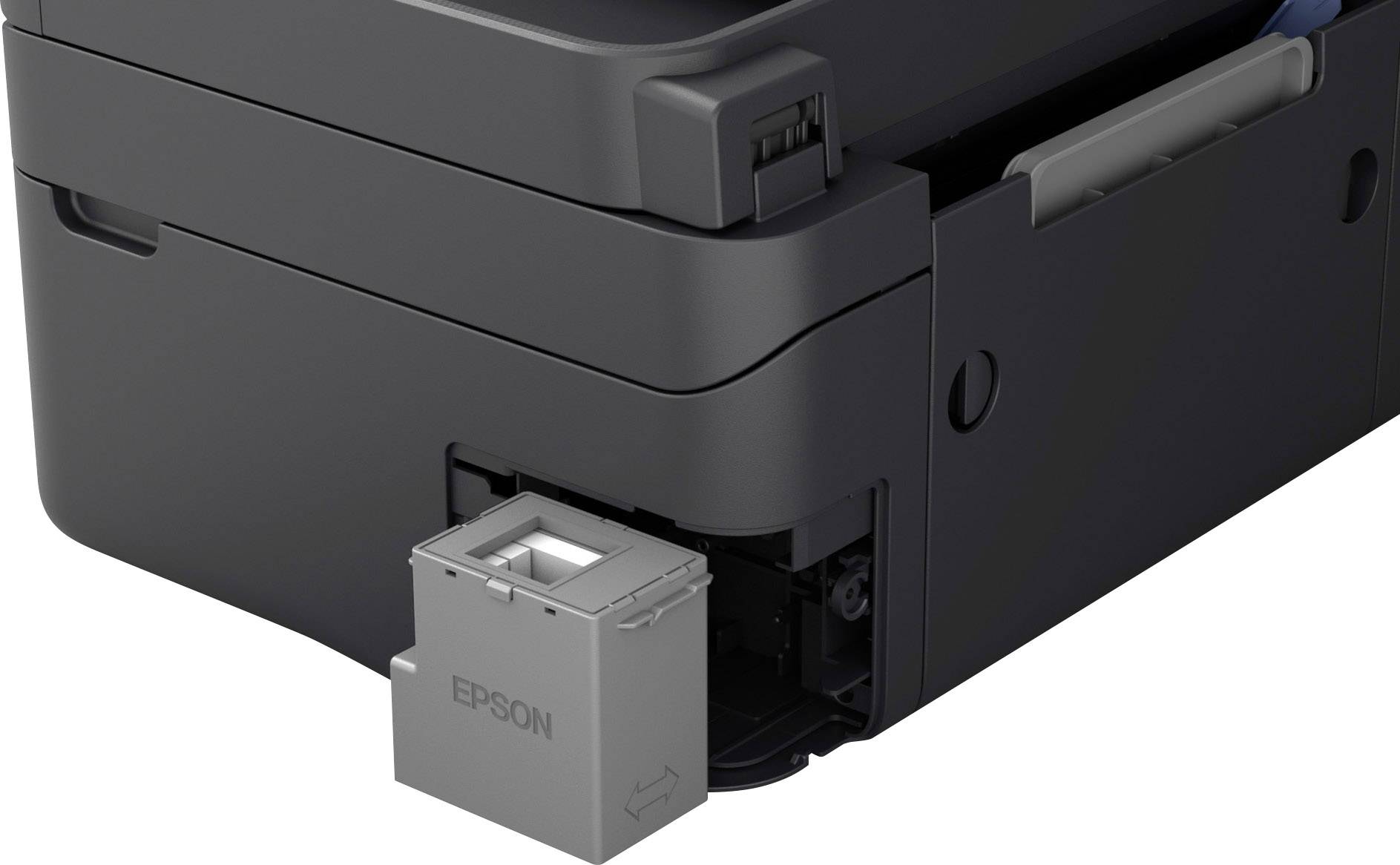 epson c11cg30402