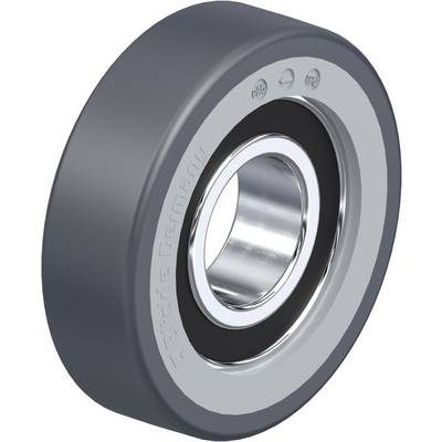 A ball bearing with a grey outer ring and a shiny inner ring. 'Germany' is embossed on the side.