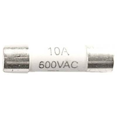 A white cylindrical fuse with metal ends, labelled '10A' and '600VAC', suitable for devices up to 600 volts alternating current.