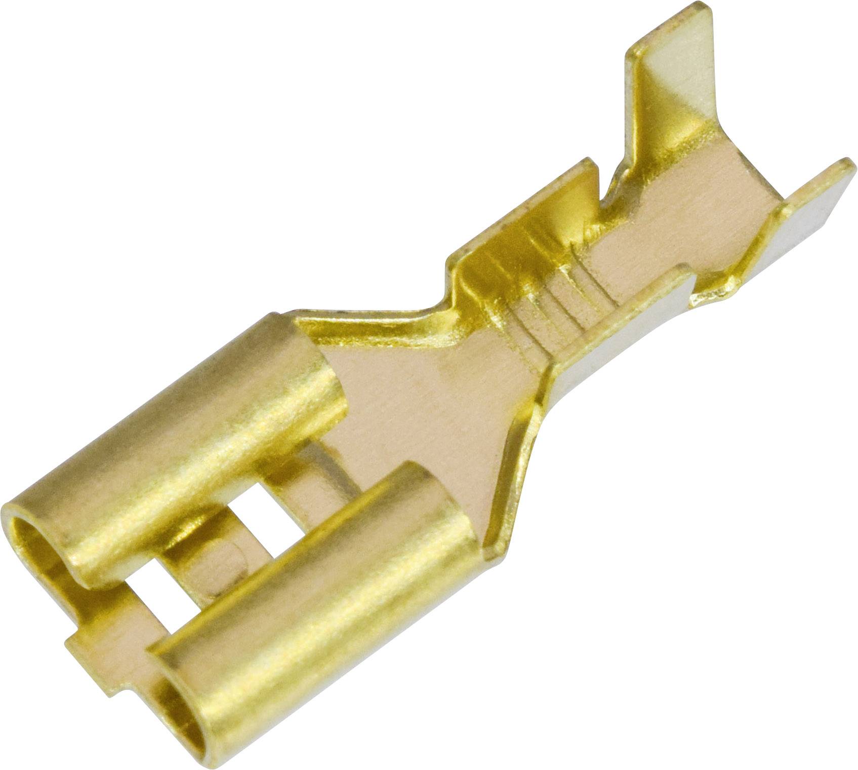 A gold-coloured electrical connector with two terminals in close-up.