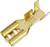 A gold-coloured, two-pole electrical connector with metal contacts and an opening for securing wires.