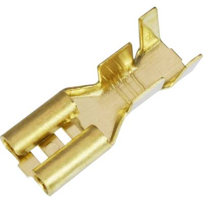 Gold-coloured metal clip, rectangular in shape with two round openings. Used for electrical connection.