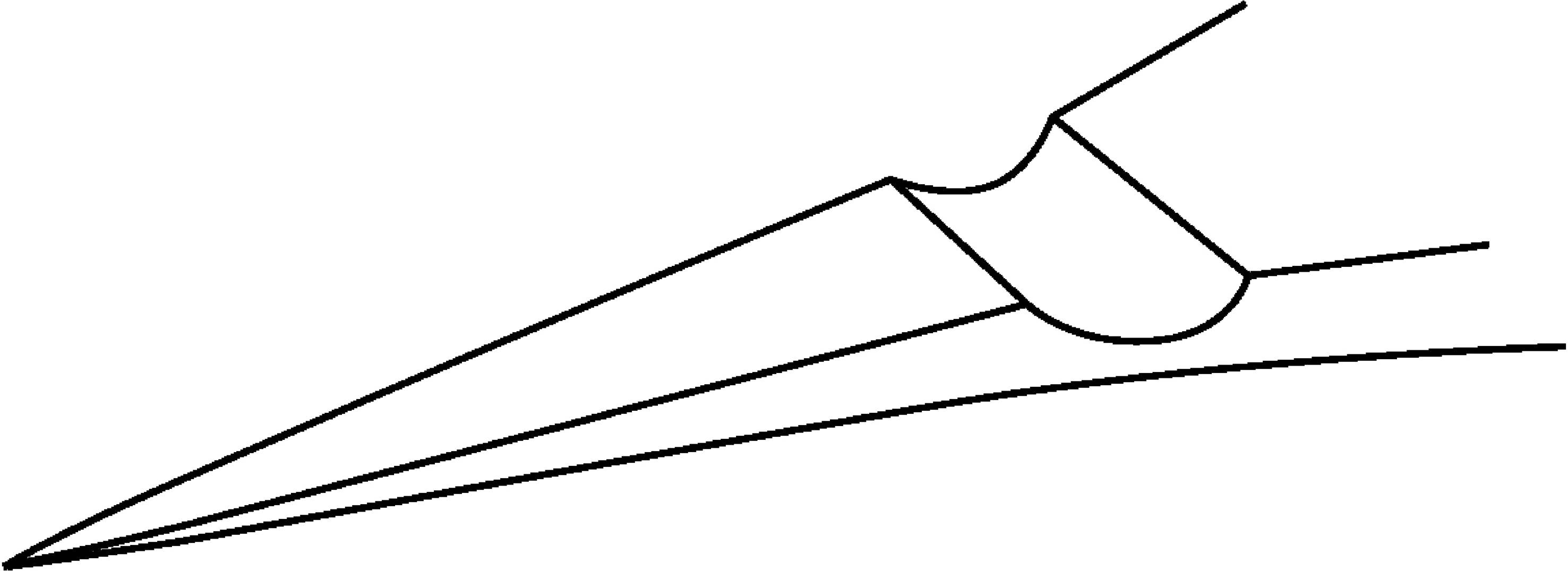 Diagram of a narrow aircraft wing with a distinctive notch in the centre.