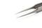 A close-up of a precise stainless steel tweezers with fine tips on a white background. Suitable for intricate work in medicine or engineering.