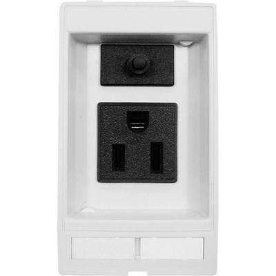 A black socket and telephone jack mounted on a white wall plate.