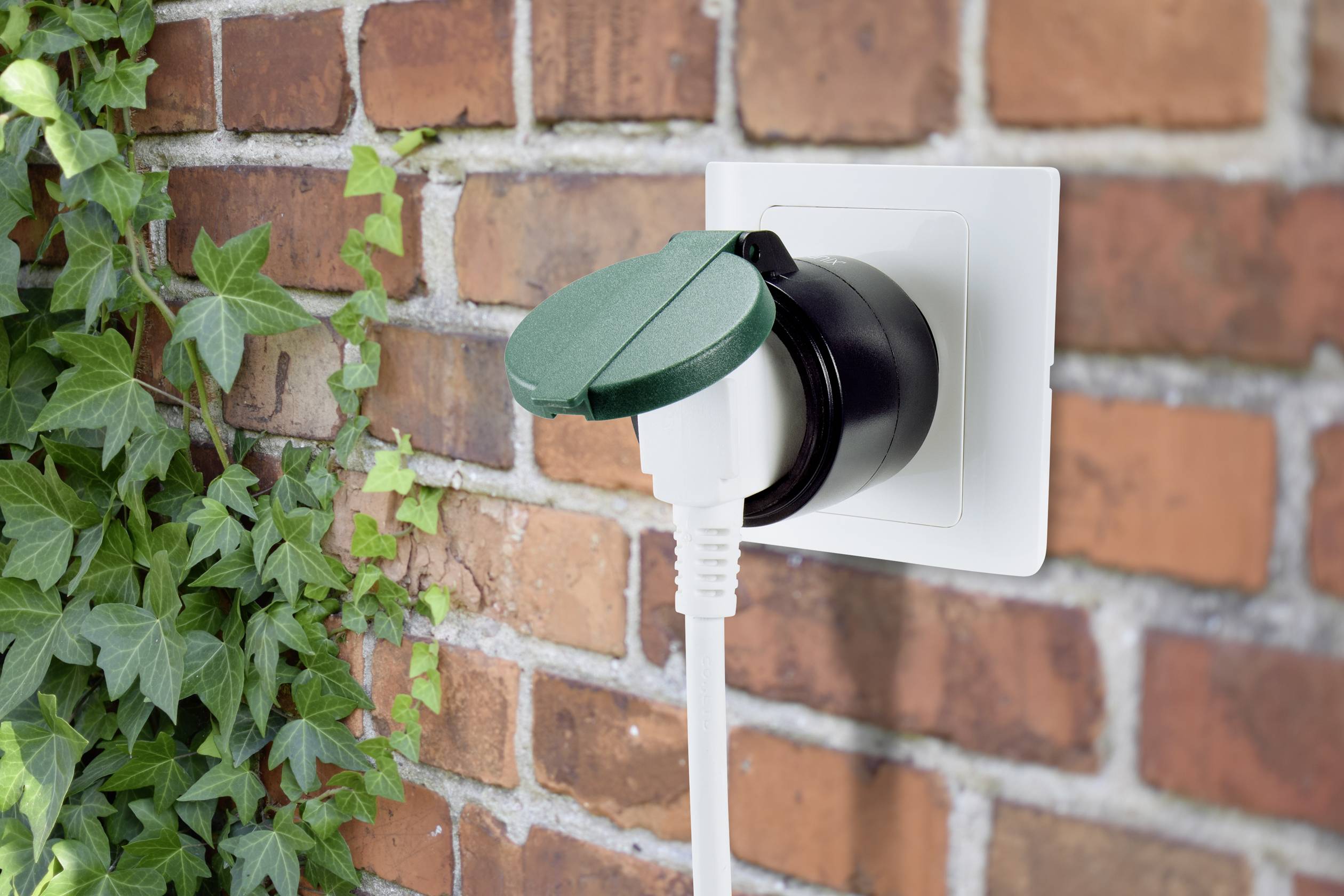 A socket in a brick wall with a cable plugged in, surrounded by green ivy.