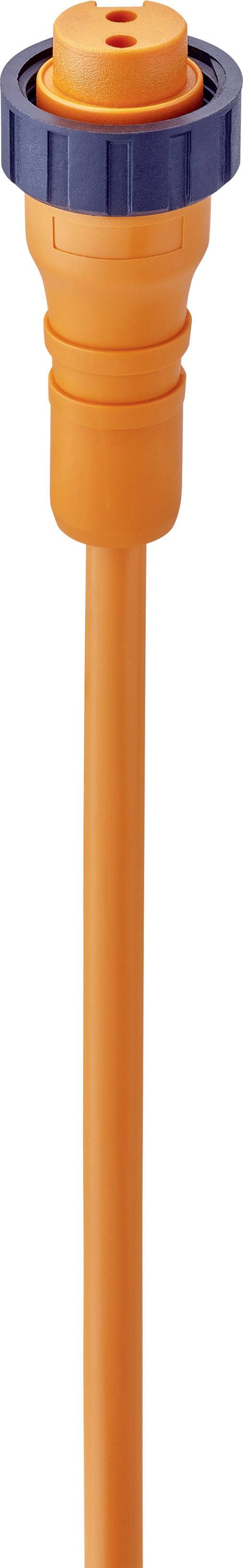 Orange extension cable end with a round, blue connector, suitable for outdoor or industrial applications.