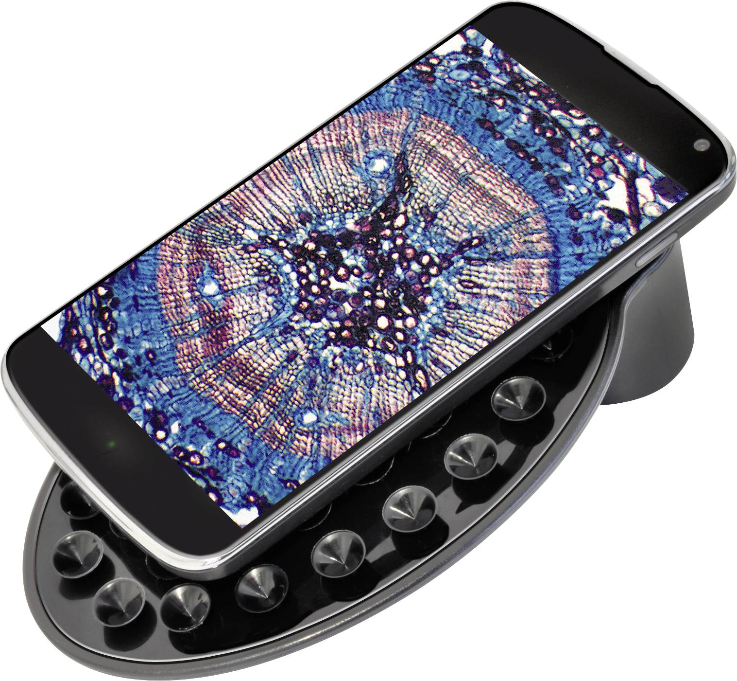 Smartphone with a colourful microscopic image on its screen, lying on a holder with suction cups.
