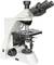 A microscope with two eyepieces and multiple objective lenses. It is frequently used in science for sample analysis.
