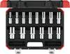 Gedore RED R61003114 Bit set 14-piece 3300008