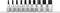 A set of eleven hexagonal bit attachments in various sizes, arranged upright side by side against a white background.