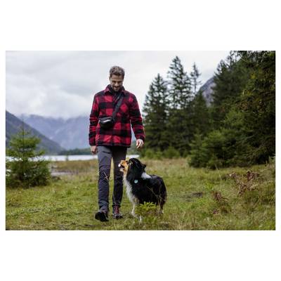 Man walks with a dog on a grassy trail near a lake and mountains, surrounded by evergreen trees on an overcast day.