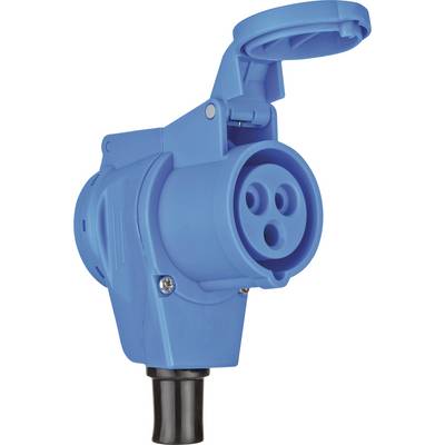 Blue industrial electrical plug adapter with hinged cap and black connector end, shown isolated on a white background.