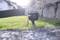 An outdoor socket with two connections in the garden, partially concealed by grass. A red cable is connected. Light is shining from behind.